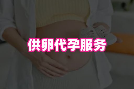 武汉助孕网 1