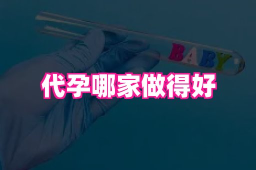 武汉助孕网 2