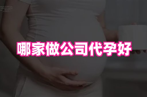 武汉助孕网 3