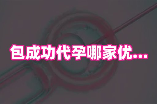武汉助孕网 4